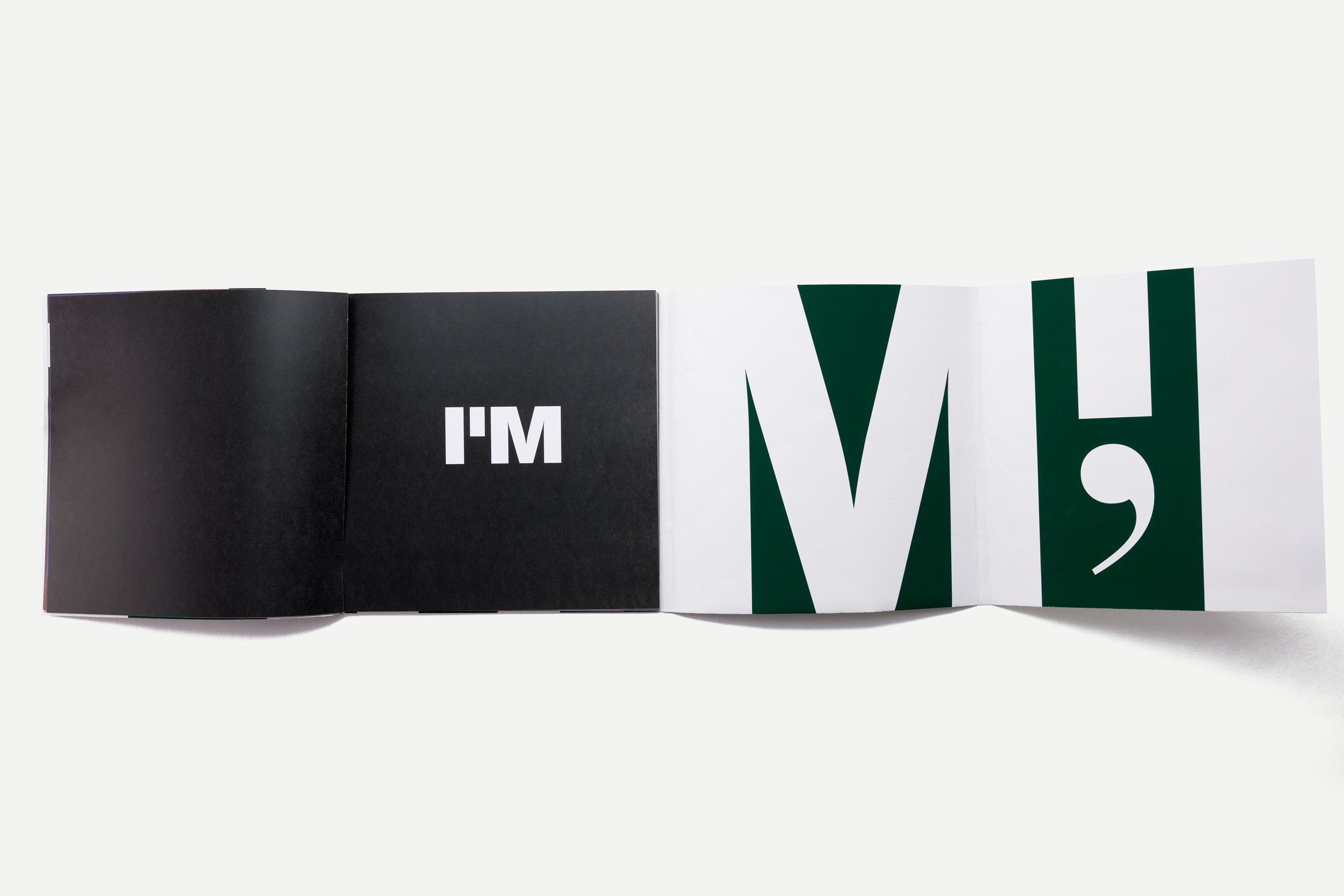 I'M brand book